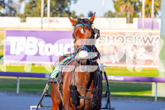2026_PACEPIX_GP17032026_Race2_ImRockinRod_WIN_WEB-11