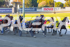 2026_PACEPIX_GP17032026_Race2_ImRockinRod_WIN_WEB-3