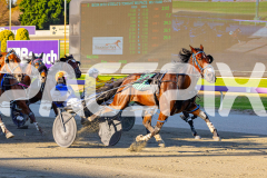2026_PACEPIX_GP17032026_Race2_ImRockinRod_WIN_WEB-5