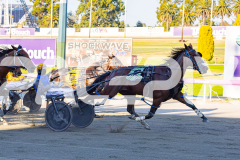 2026_PACEPIX_GP17032026_Race2_ImRockinRod_WIN_WEB-6
