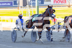 2026_PACEPIX_GP17032026_Race2_ImRockinRod_WIN_WEB-8