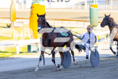 2026_PACEPIX_GP17032026_Race2_ImRockinRod_WIN_WEB-9