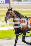 2026_PACEPIX_GP02012026_RACE2_InfiniteSign_WIN_WEB-14