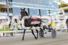 2026_PACEPIX_GP02012026_RACE2_InfiniteSign_WIN_WEB-19