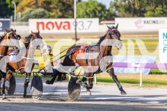 2026_PACEPIX_GP02012026_RACE2_InfiniteSign_WIN_WEB-2