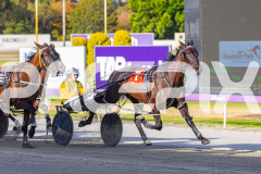 2026_PACEPIX_GP02012026_RACE2_InfiniteSign_WIN_WEB-3
