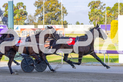 2026_PACEPIX_GP02012026_RACE2_InfiniteSign_WIN_WEB-4