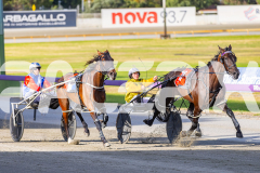2026_PACEPIX_GP02012026_RACE2_InfiniteSign_WIN_WEB-7