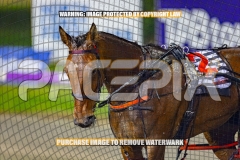 2026_PACEPIX_GP18092026_RACE2_ISeeUBababy_WIN_WEB-17