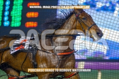 2026_PACEPIX_GP18092026_RACE2_ISeeUBababy_WIN_WEB-5