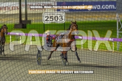 2026_PACEPIX_GP18092026_RACE2_ISeeUBababy_WIN_WEB-7