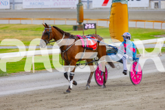 2026_PACEPIX_GP09012026_Race2_Jaspervellabeach_WIN_WEB-18