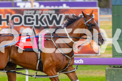 2026_PACEPIX_GP09012026_Race2_Jaspervellabeach_WIN_WEB-3