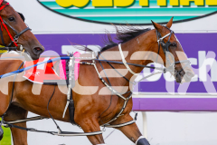 2026_PACEPIX_GP09012026_Race2_Jaspervellabeach_WIN_WEB-8