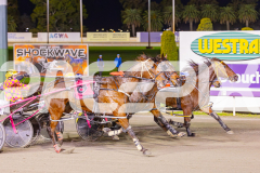 RACE 2 - Joe With The Flow