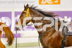 2025_PACEPIX_GP24062025_Race2_JoeWithTheFlow_WIN_WEB-12