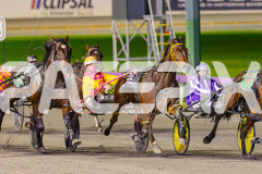 2025_PACEPIX_GP24062025_Race2_JoeWithTheFlow_WIN_WEB-2
