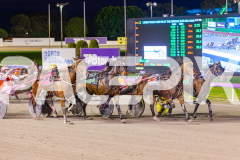 2025_PACEPIX_GP24062025_Race2_JoeWithTheFlow_WIN_WEB-4