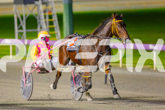 2025_PACEPIX_GP24062025_Race2_JoeWithTheFlow_WIN_WEB-8