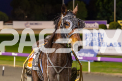 2025_PACEPIX_GP18062025_RACE2_JOEY-JAMES_WIN_WEB-8