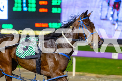 2026_PACEPIX_GP19052026_RACE2_LuckyCopy_WIN_WEB-15