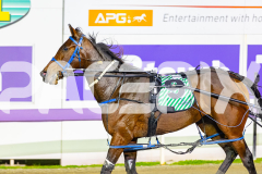 2026_PACEPIX_GP19052026_RACE2_LuckyCopy_WIN_WEB-19