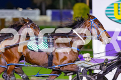 2026_PACEPIX_GP19052026_RACE2_LuckyCopy_WIN_WEB-3