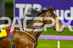 2026_PACEPIX_GP14072026_RACE2_LazarusStar_WIN_WEB-12