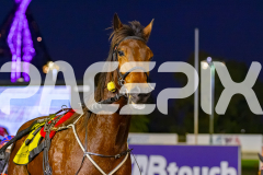 2026_PACEPIX_GP14072026_RACE2_LazarusStar_WIN_WEB-16