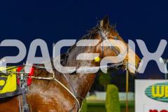 2026_PACEPIX_GP14072026_RACE2_LazarusStar_WIN_WEB-20