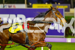 2026_PACEPIX_GP14072026_RACE2_LazarusStar_WIN_WEB-3