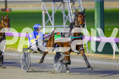 Gloucester Park - 05/08/2025