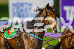 2025_PACEPIX_GP05082025_RACE2_LazarusStar_WIN_WEB-13
