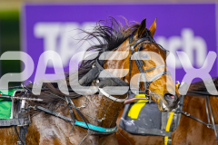 2025_PACEPIX_GP05082025_RACE2_LazarusStar_WIN_WEB-14