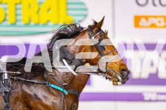 2025_PACEPIX_GP05082025_RACE2_LazarusStar_WIN_WEB-15