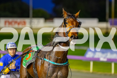 2025_PACEPIX_GP05082025_RACE2_LazarusStar_WIN_WEB-18