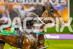 2025_PACEPIX_GP05082025_RACE2_LazarusStar_WIN_WEB-4