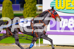 2026_Pacepix_GP28042026_RACE2_LeeroyRox_WIN_WEB-14