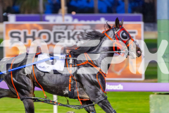 2026_Pacepix_GP28042026_RACE2_LeeroyRox_WIN_WEB-4