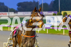 2025_PACEPIX_GP19082025_RACE2_LincolnLou_WIN_WEB-13