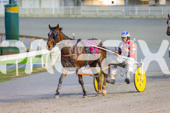 2025_PACEPIX_GP19082025_RACE2_LincolnLou_WIN_WEB-9