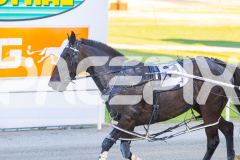 2026_PACEPIX_GP28022026_RACE2_LincolnRiver_WIN_WEB-11