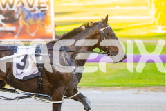 2026_PACEPIX_GP28022026_RACE2_LincolnRiver_WIN_WEB-9