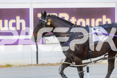 2026_Pacepix_GP30012026_RACE2_LincolnRiver_WIN_WEB-13