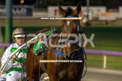 Maas-Attack_25-09-2026_WIN_Gloucester-Park_2__10