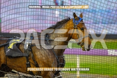2026_PACEPIX_GP16102026_Race2_MadMonday_WIN_WEB-12