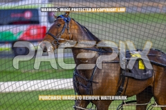 2026_PACEPIX_GP16102026_Race2_MadMonday_WIN_WEB-16