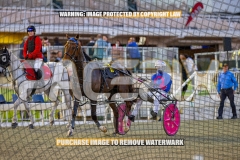 2026_PACEPIX_GP16102026_Race2_MadMonday_WIN_WEB-19