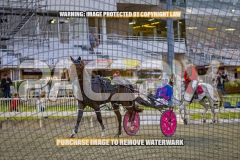 2026_PACEPIX_GP16102026_Race2_MadMonday_WIN_WEB-20