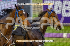 2026_PACEPIX_GP16102026_Race2_MadMonday_WIN_WEB-4